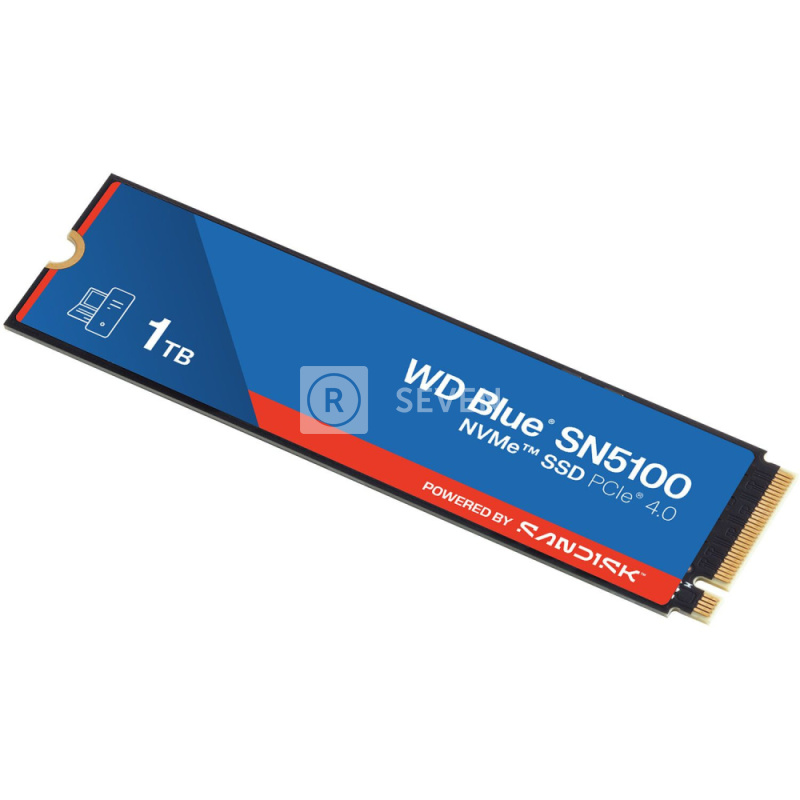 Твердотельный накопитель Western Digital 1000 Gb WD Blue (WDS100T5B0E)