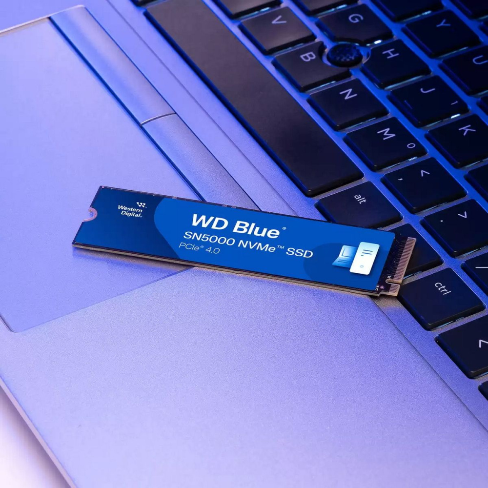 Твердотельный накопитель Western Digital 1000 Gb SN5000 Blue (WDS100T4B0E)