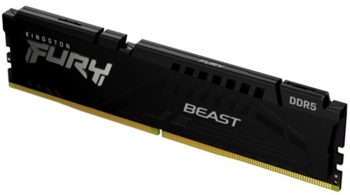 Оперативная память 16 Gb 5600 MHz Kingston FURY Beast EXPO Black (KF556C36BBE-16)