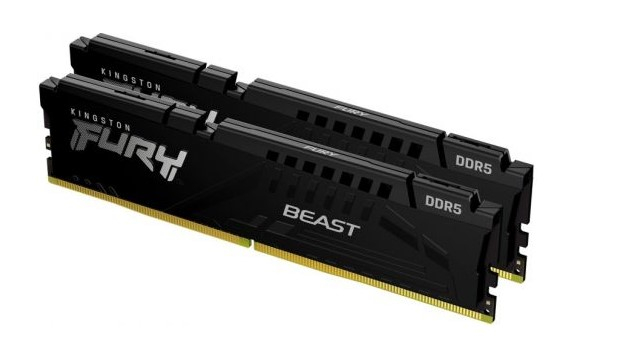 Оперативная память 16 Gb 6000 MHz Kingston FURY Beast EXPO Black (KF560C36BBEK2-16)